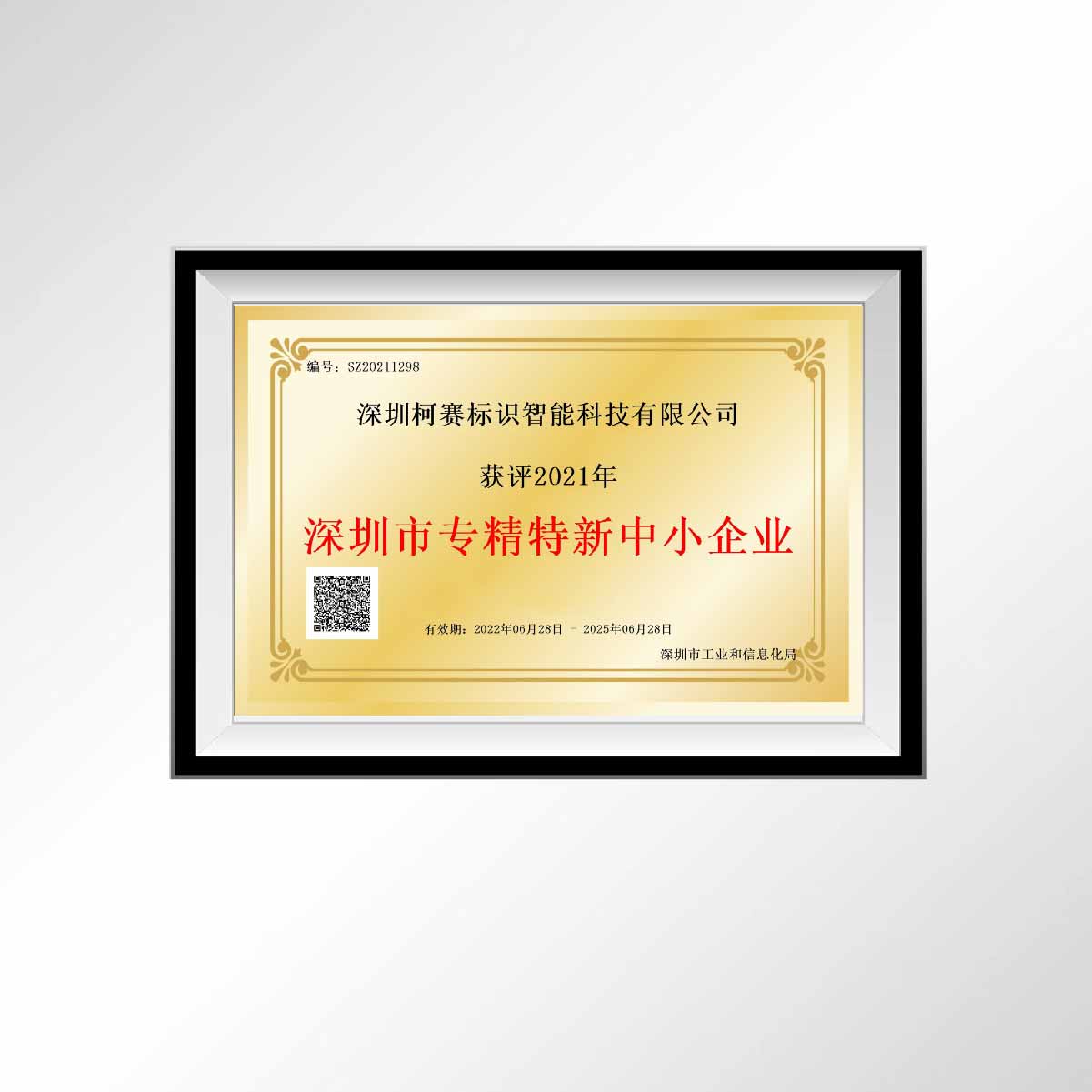 2深圳专精特新企业