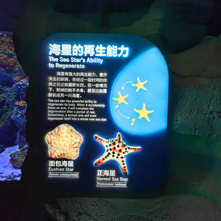 柯赛标识-主题公园导视标识牌系统制作