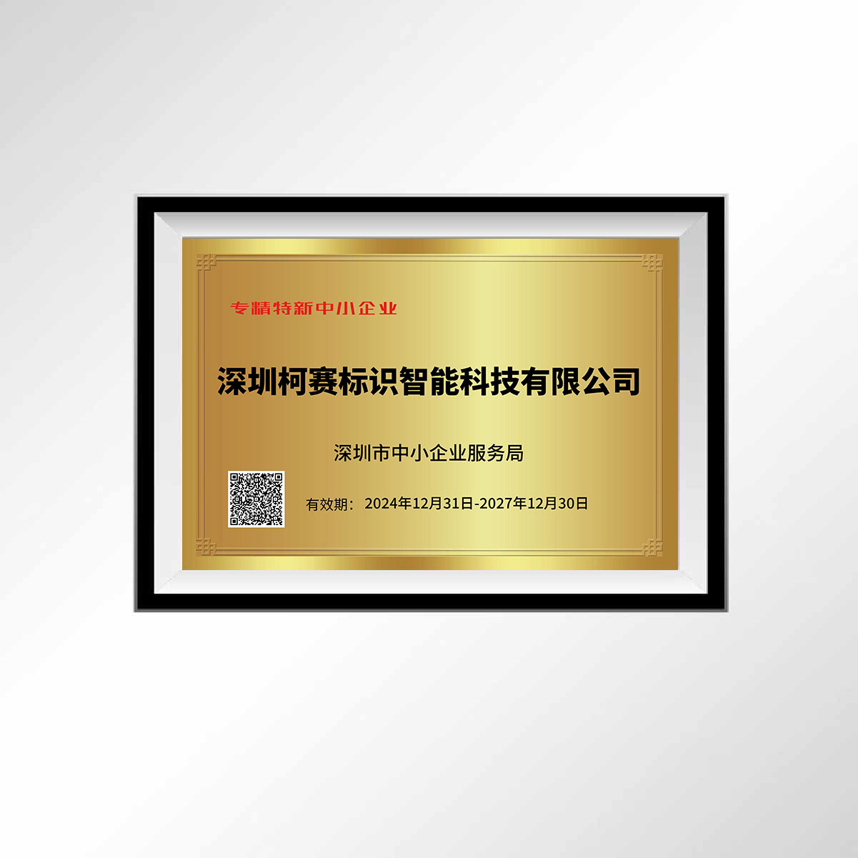 2深圳专精特新企业