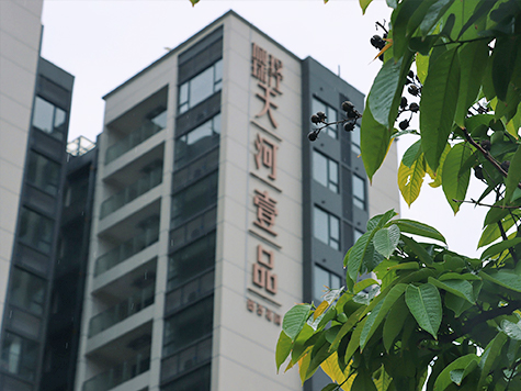 列表图