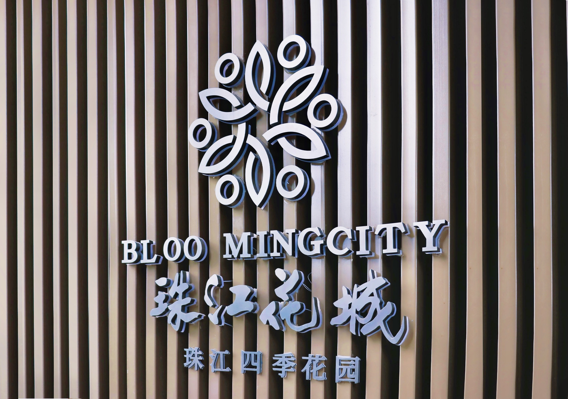 详情大图