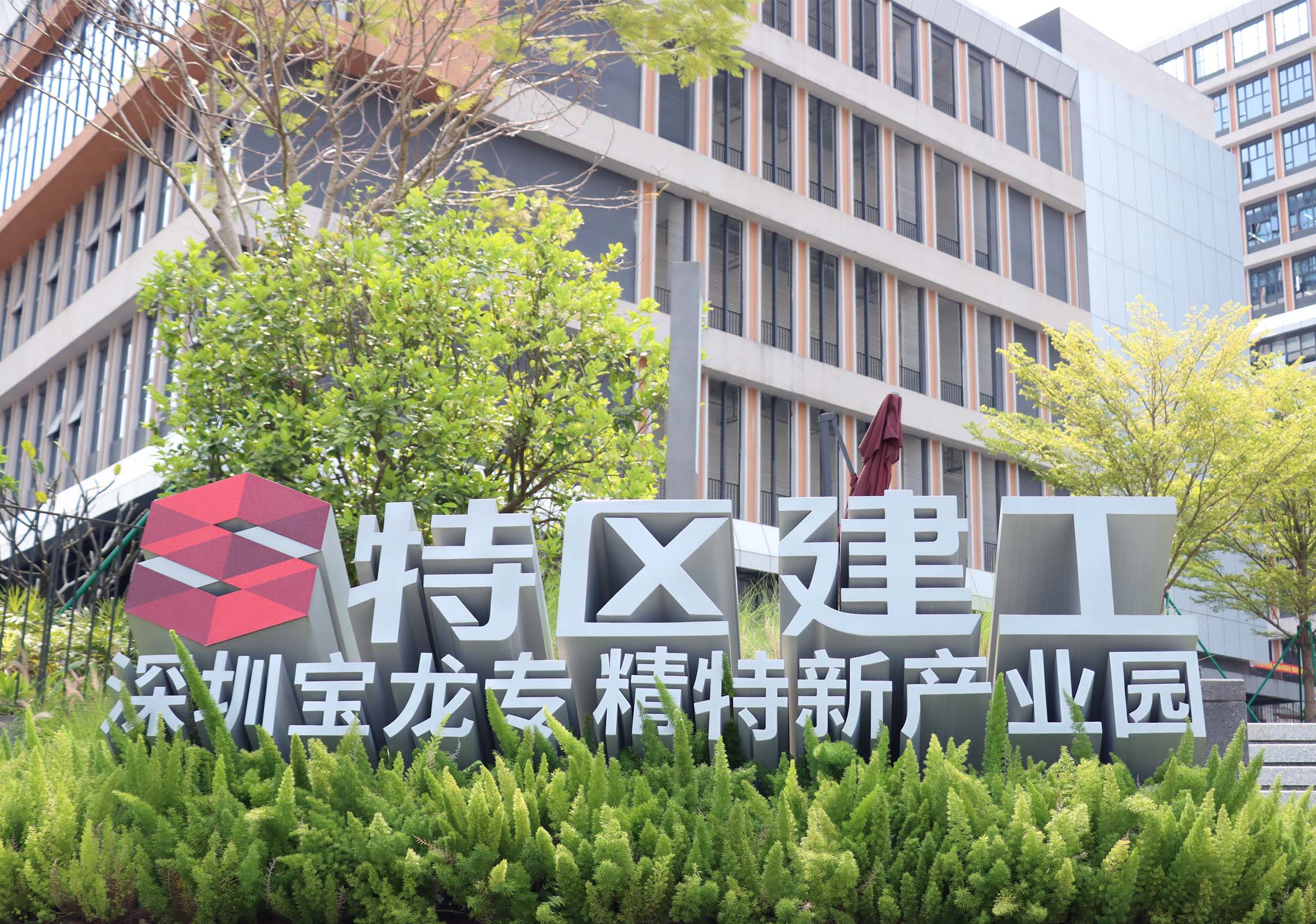 详情大图
