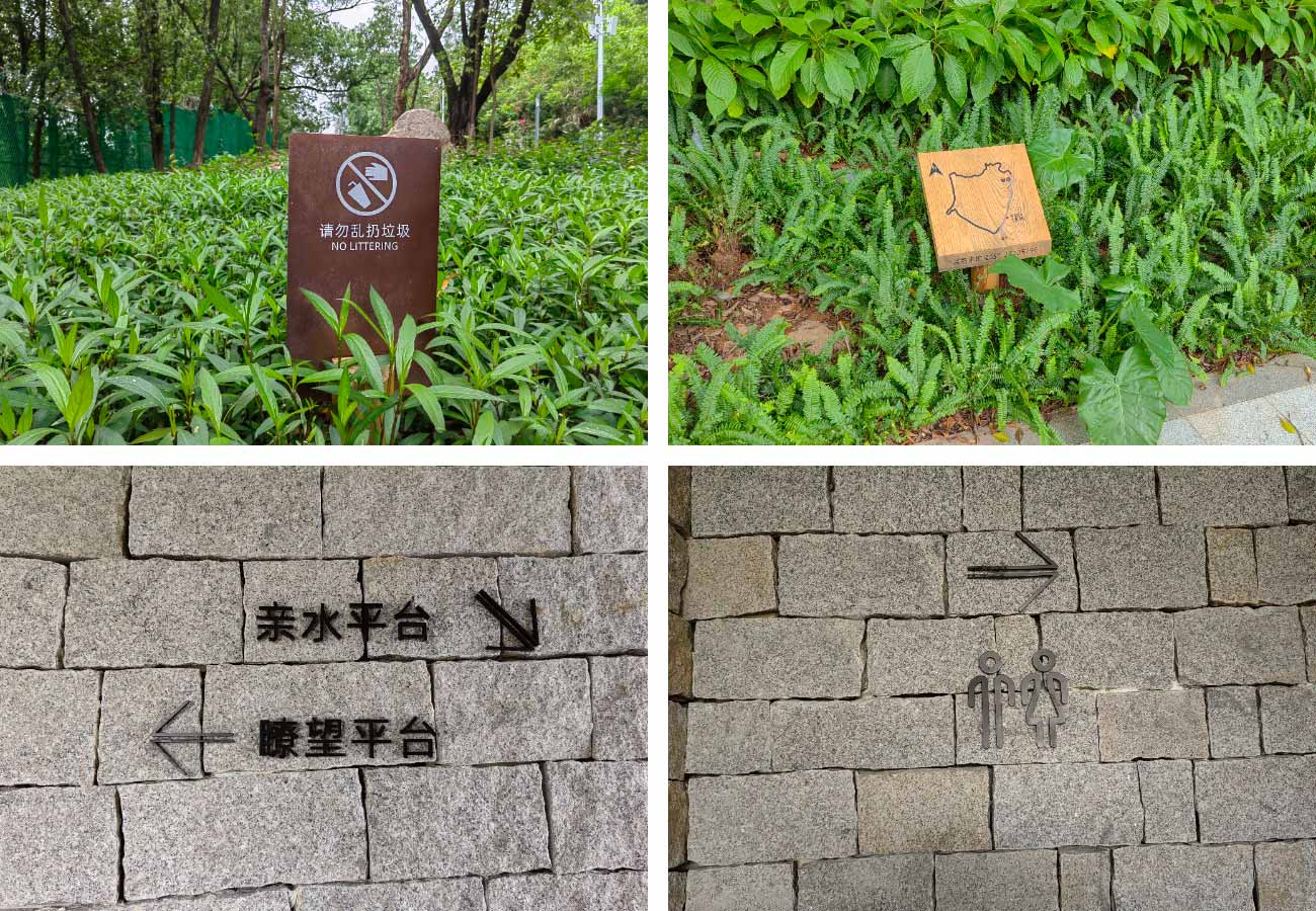 环西丽湖碧道05
