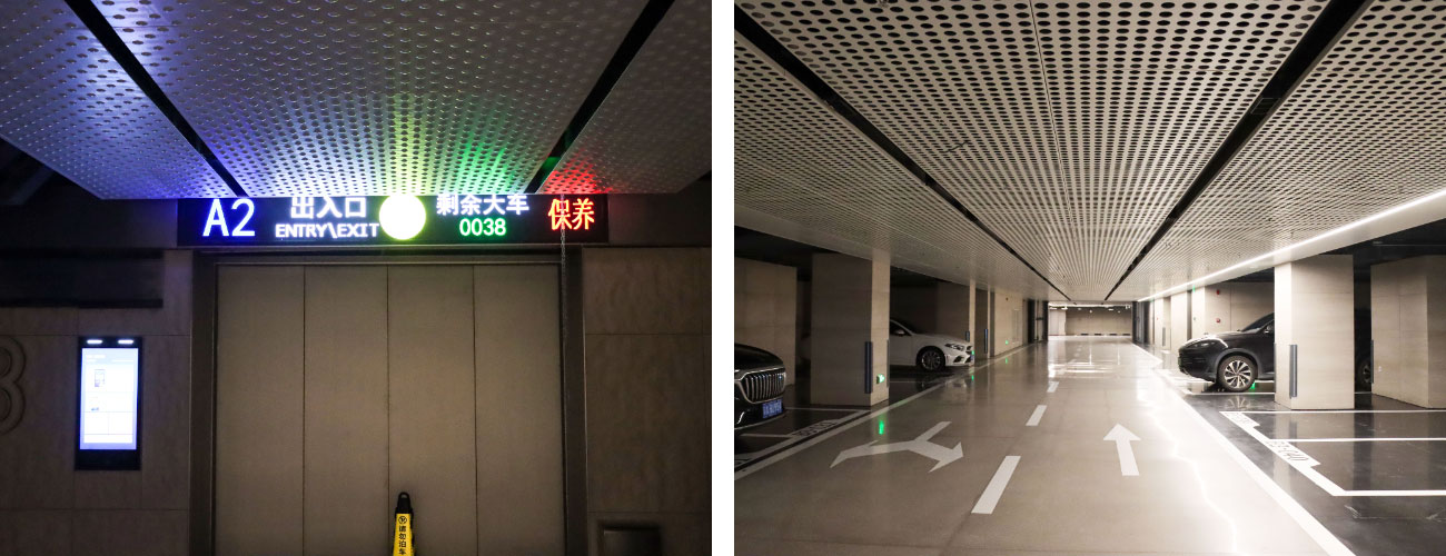 三一树根